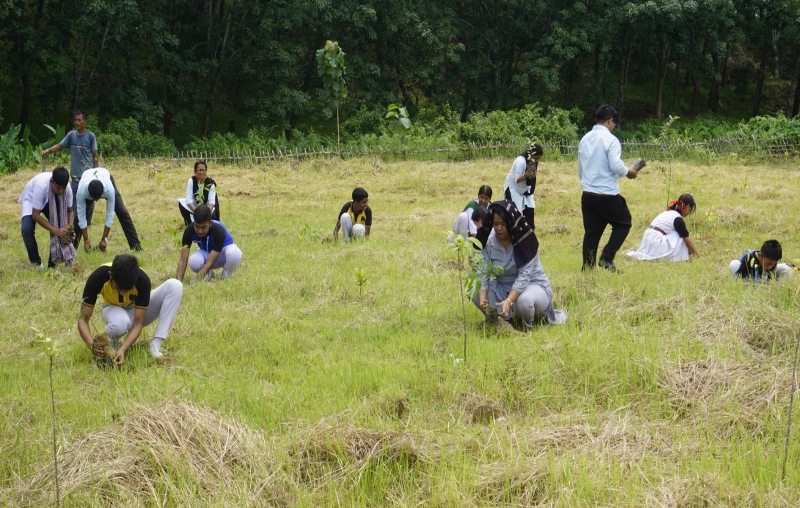 Tree Plantation Day 2024